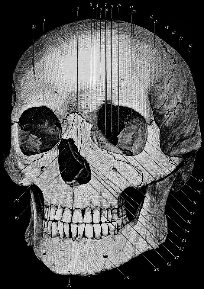 Archillect ID 383830