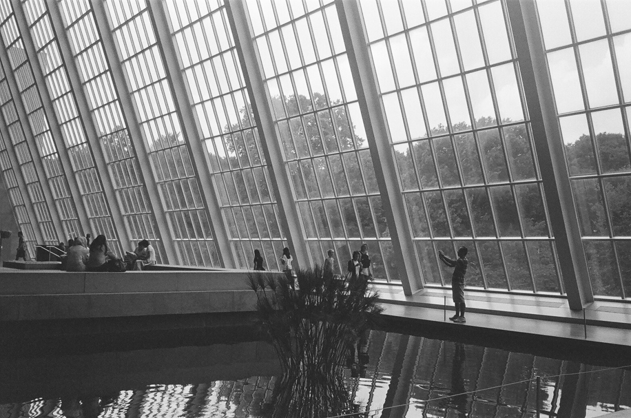 Archillect ID 383846