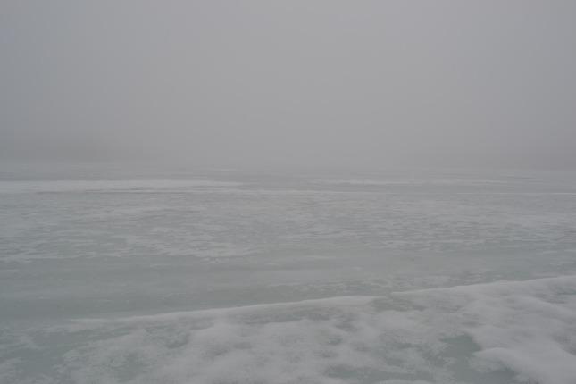 Archillect ID 383862