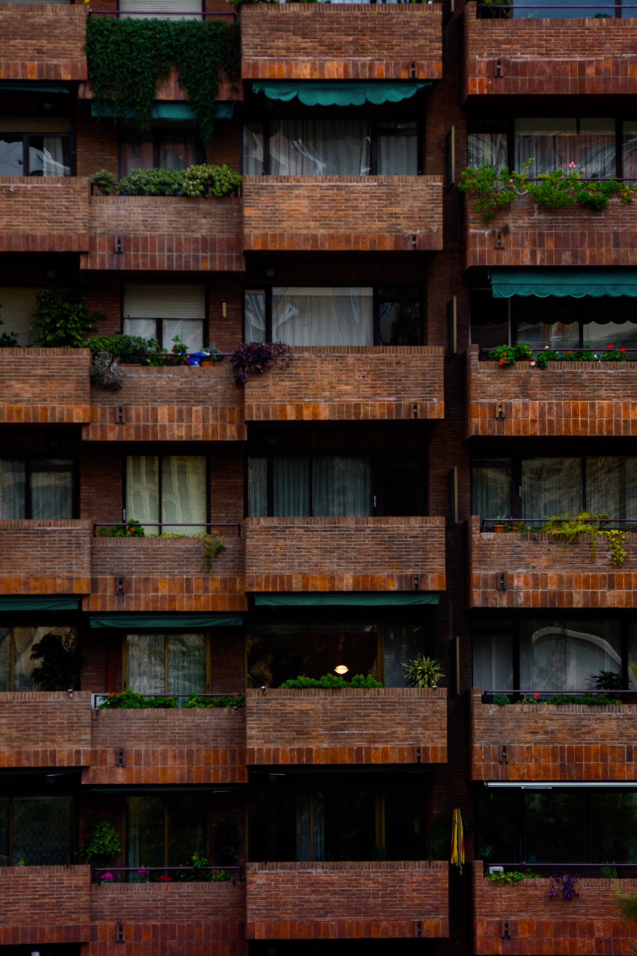 Archillect ID 383944