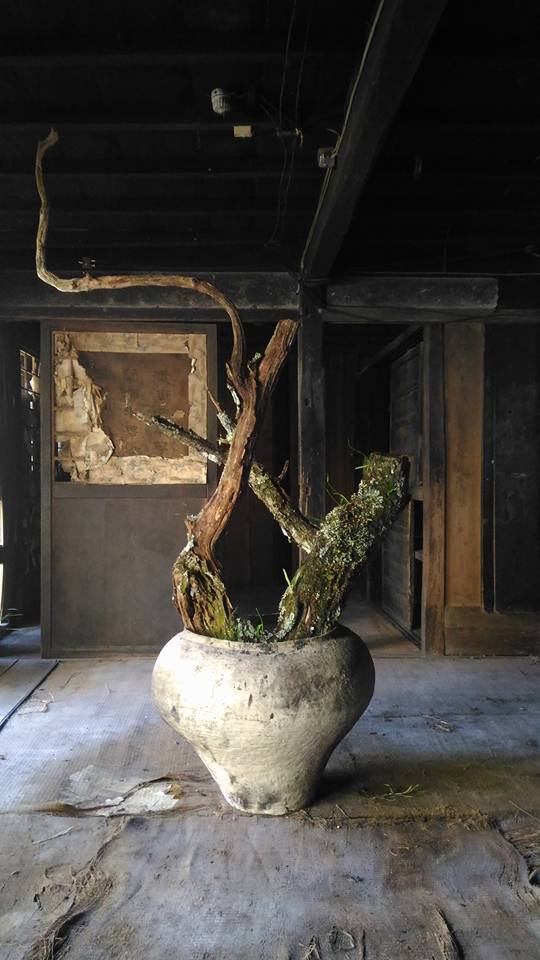 Archillect ID 383949