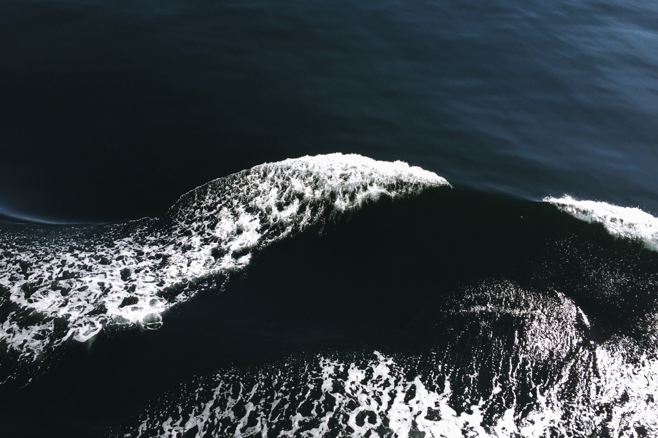 Archillect ID 383978