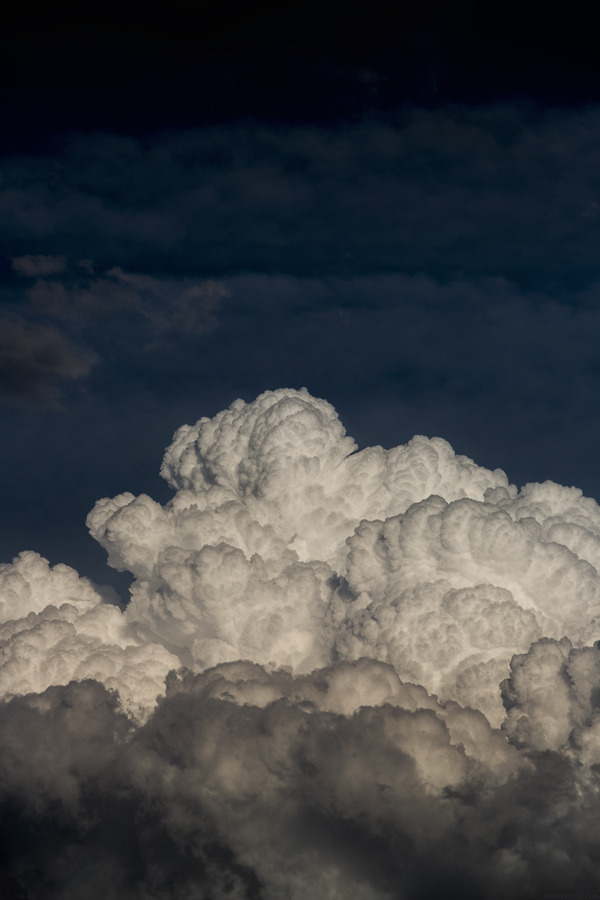 Archillect ID 384035