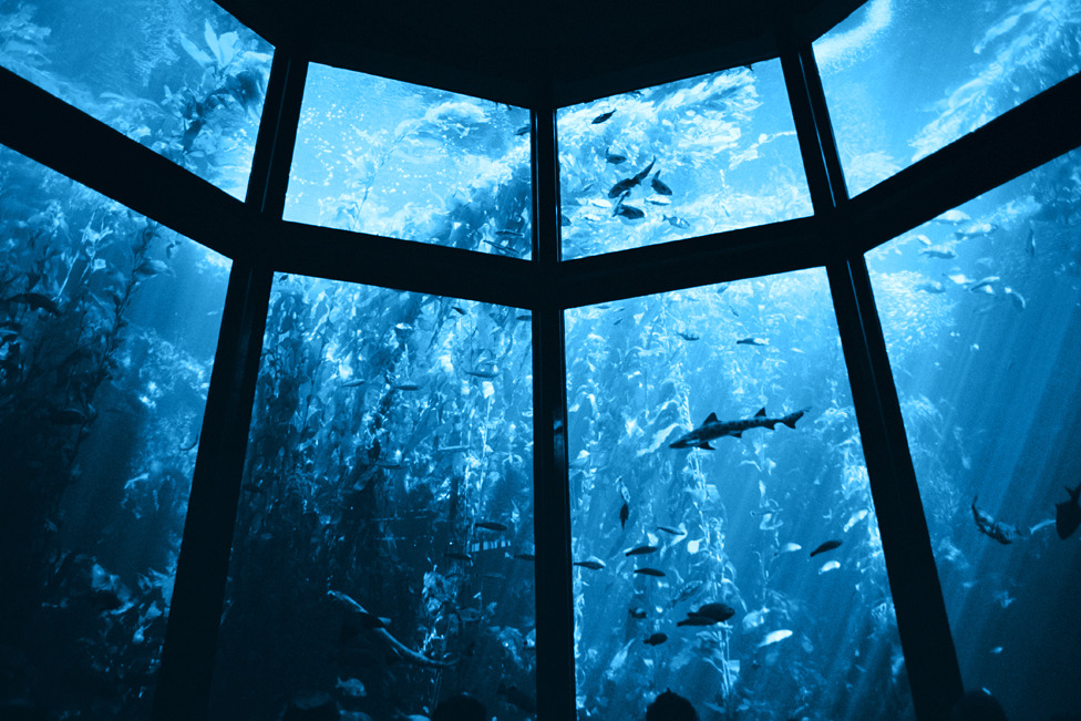 Archillect ID 384056