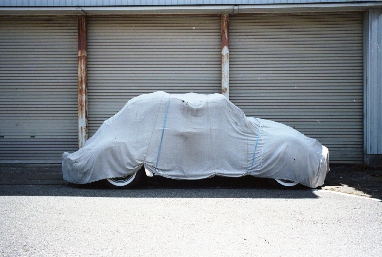 Archillect ID 384203