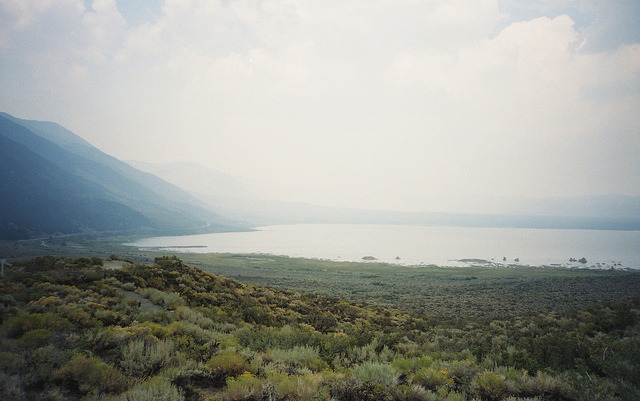 Archillect ID 384214