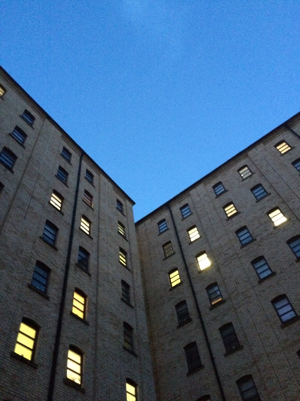 Archillect ID 384232