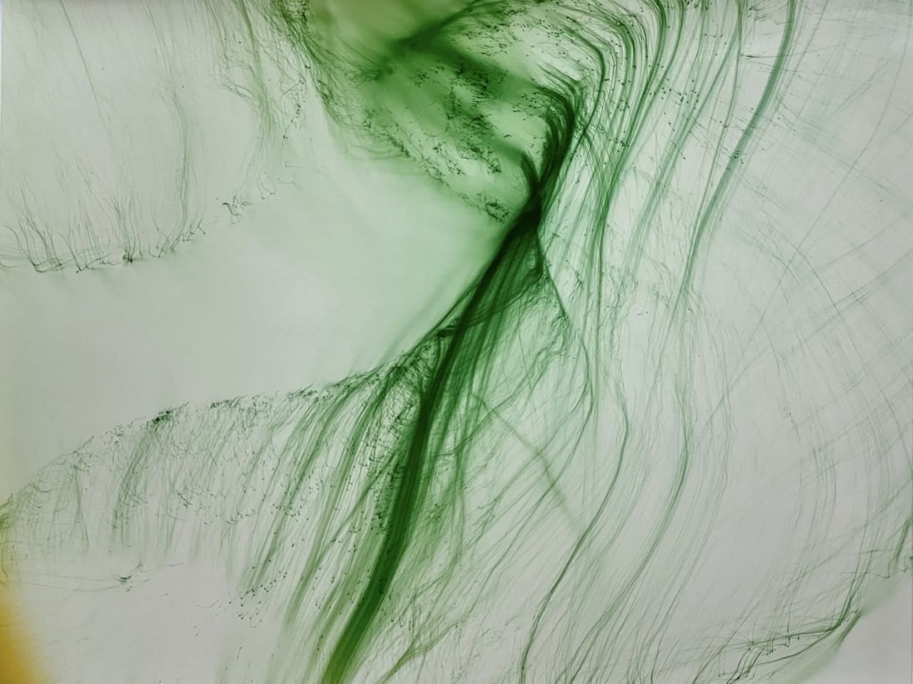 Archillect ID 384234