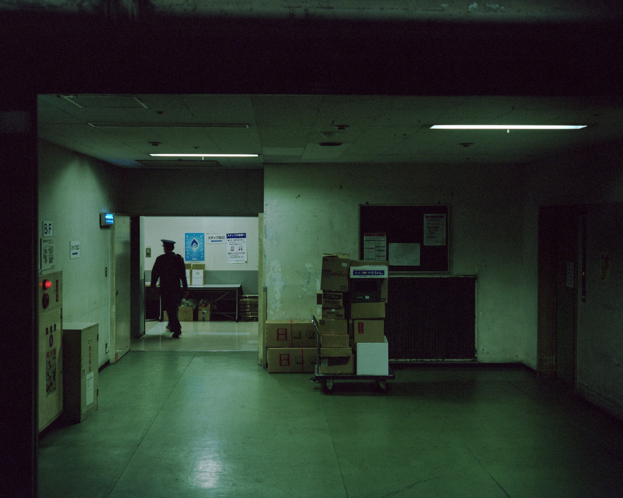 Archillect ID 384307