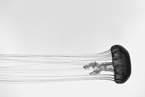 Archillect ID 384430