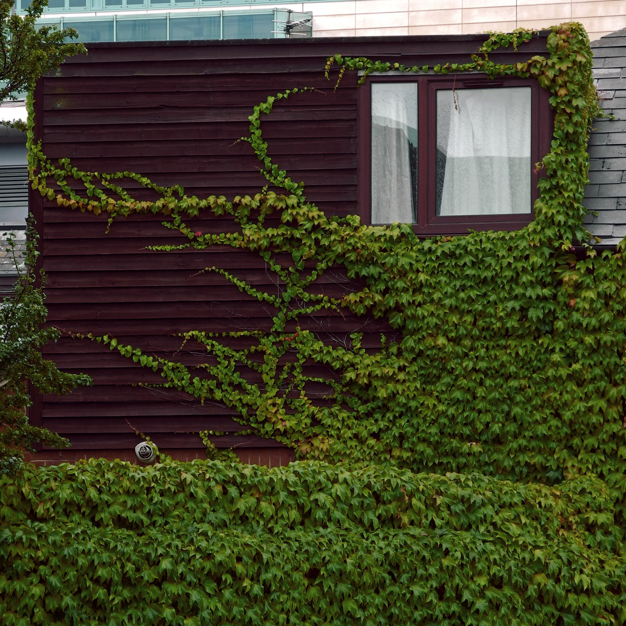 Archillect ID 384449