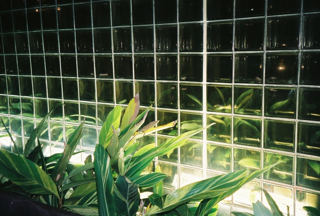 Archillect ID 384460