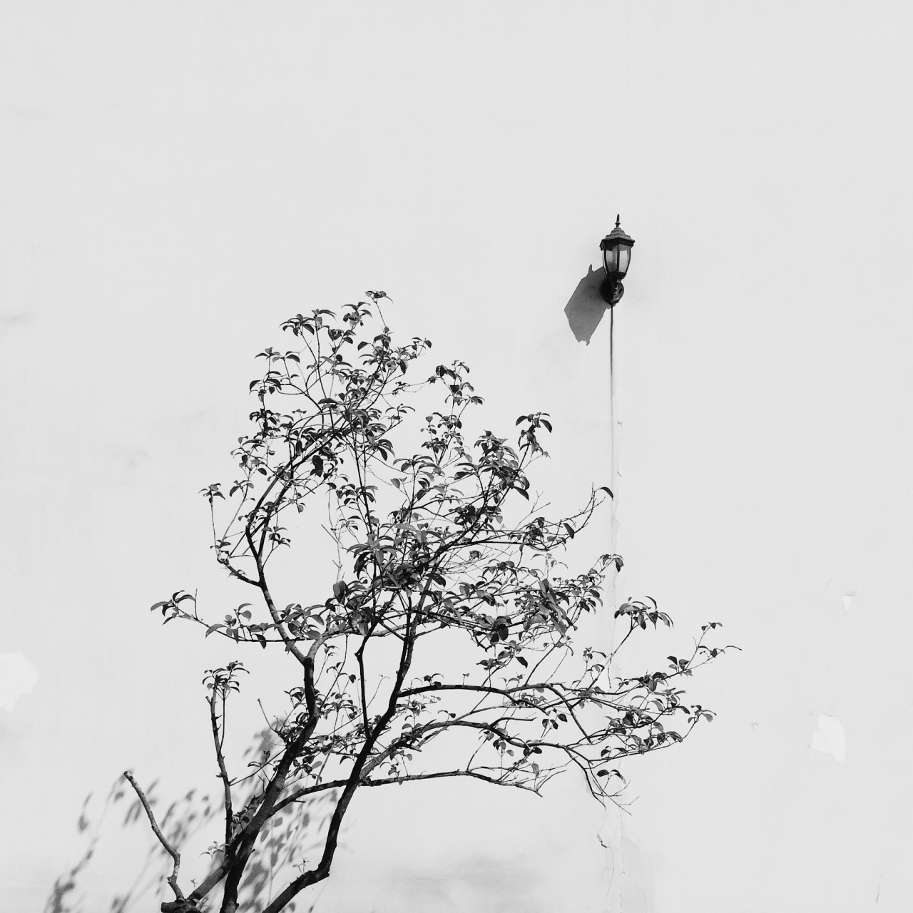 Archillect ID 384481