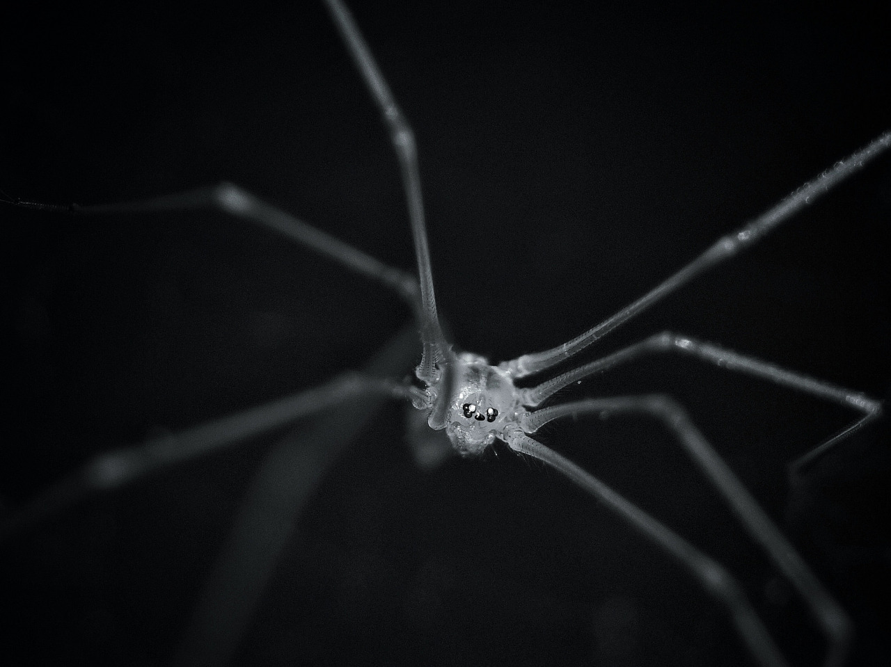 Archillect ID 384534