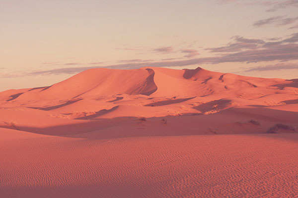 Archillect ID 384568