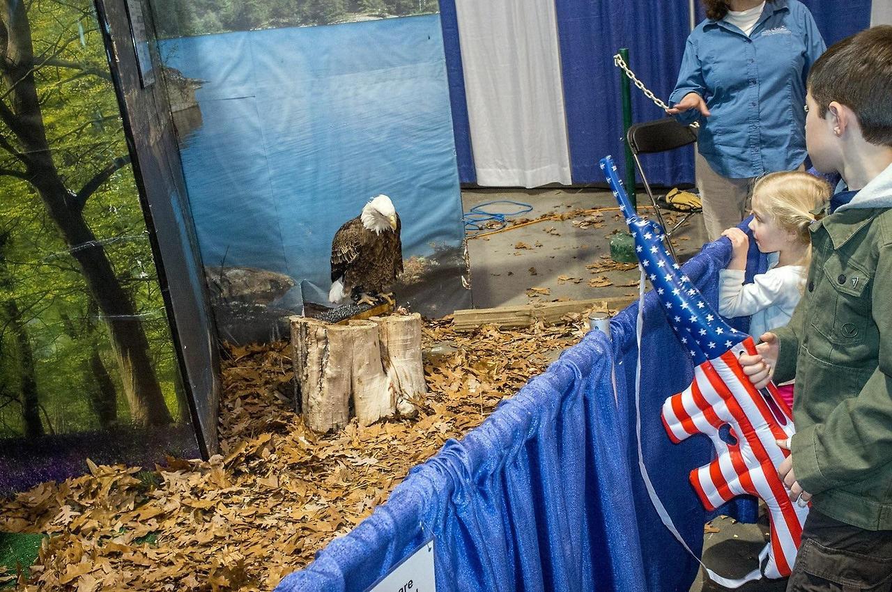 Archillect ID 384603