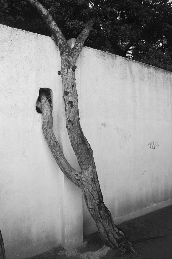 Archillect ID 384605