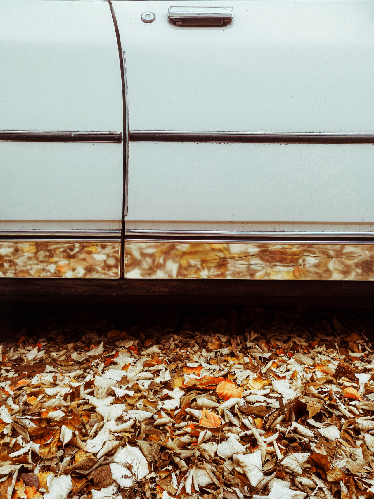 Archillect ID 384641