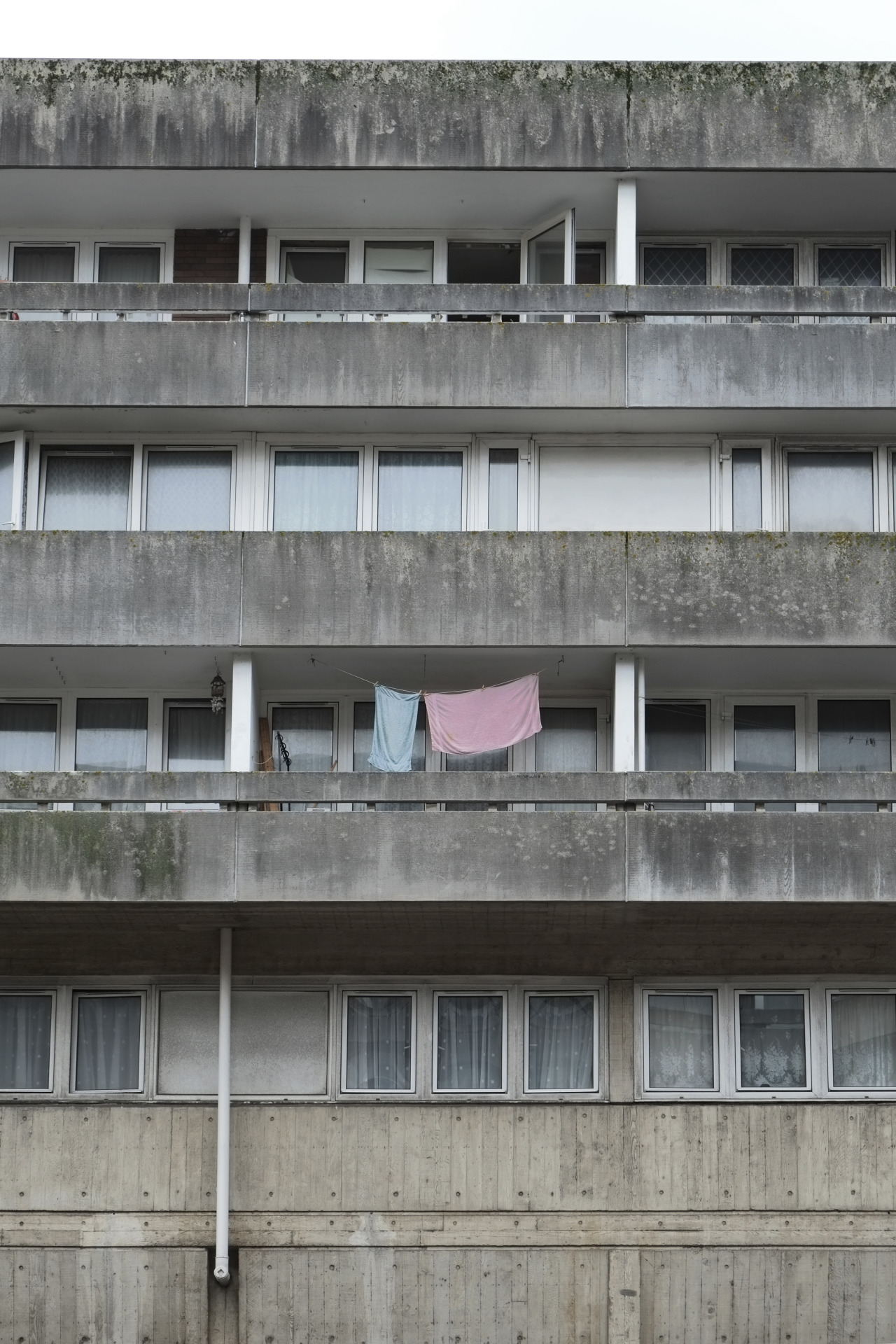 Archillect ID 384646