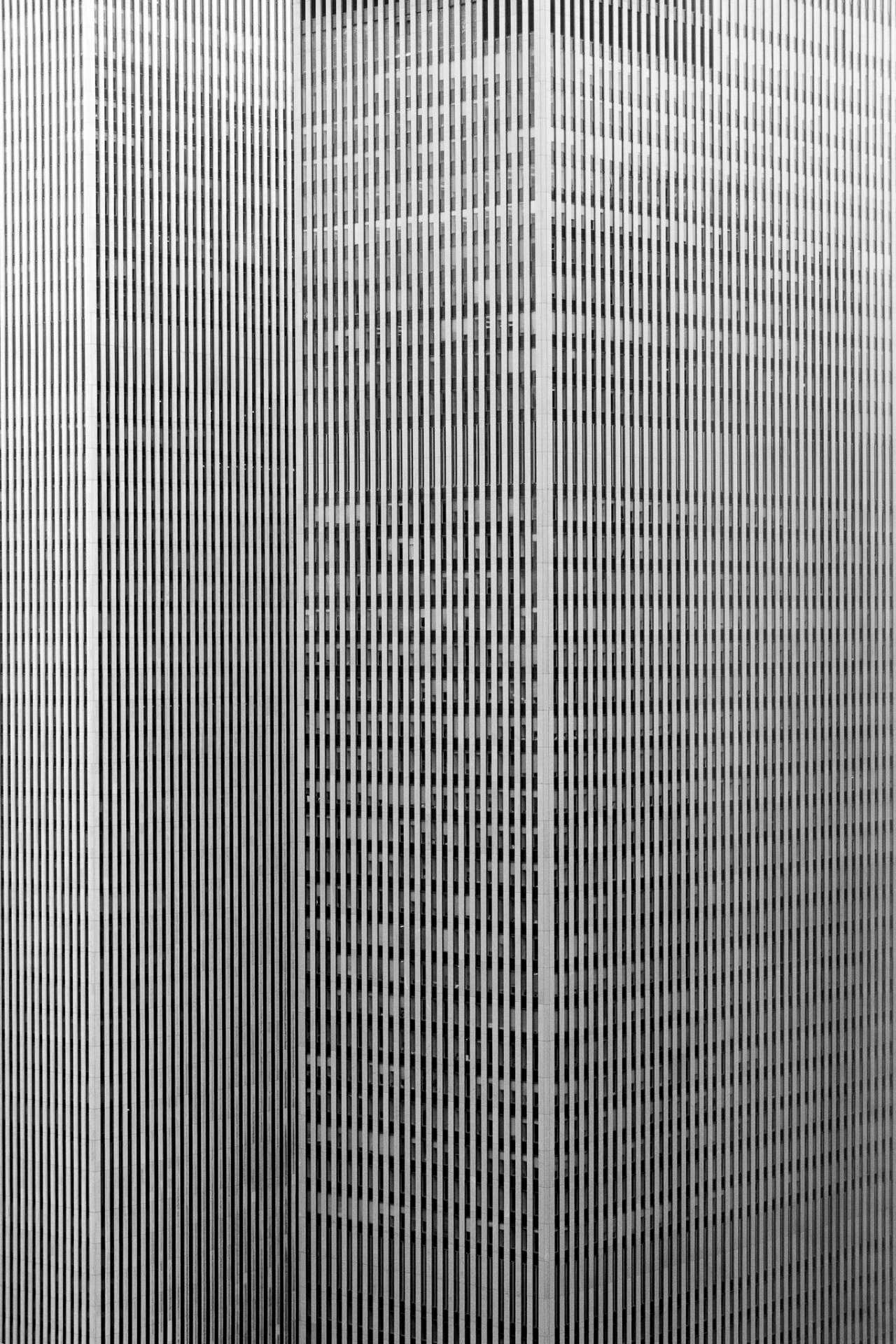 Archillect ID 384667