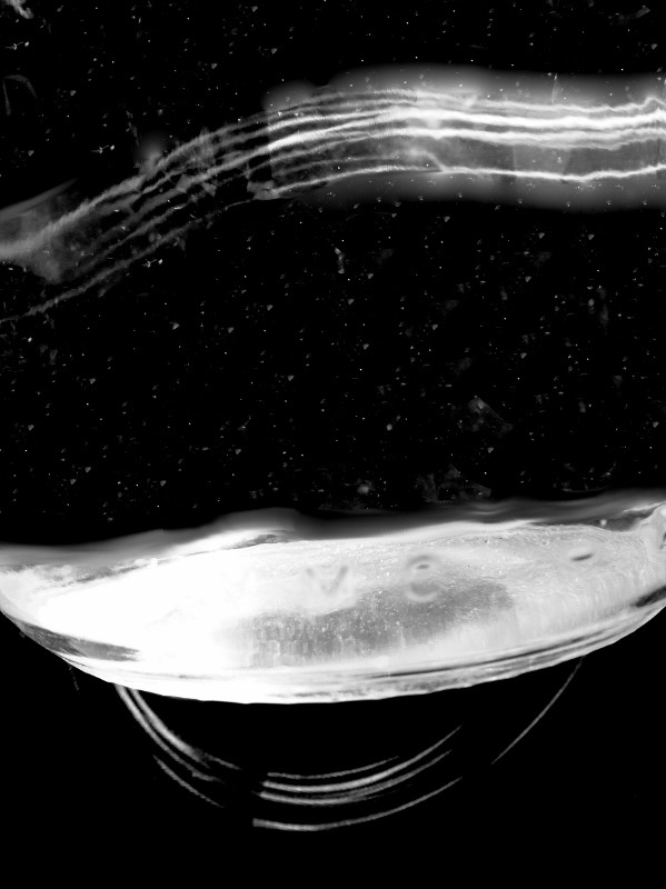 Archillect ID 384668