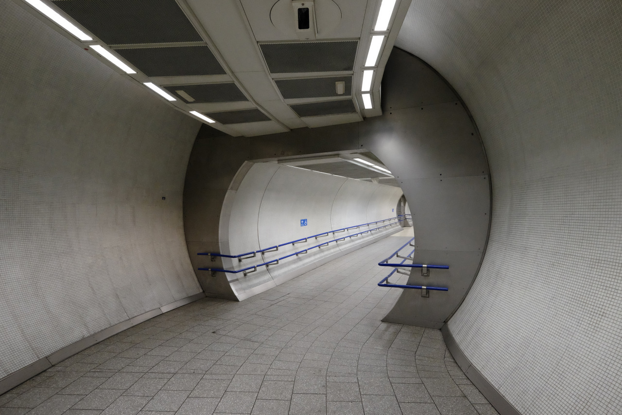 Archillect ID 384694