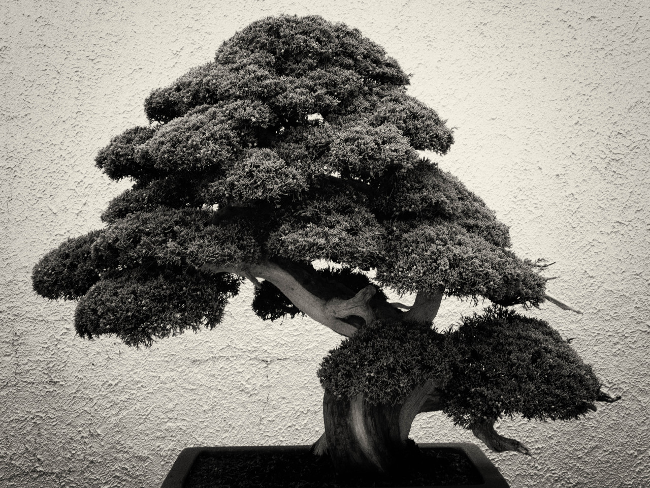 Archillect ID 384701