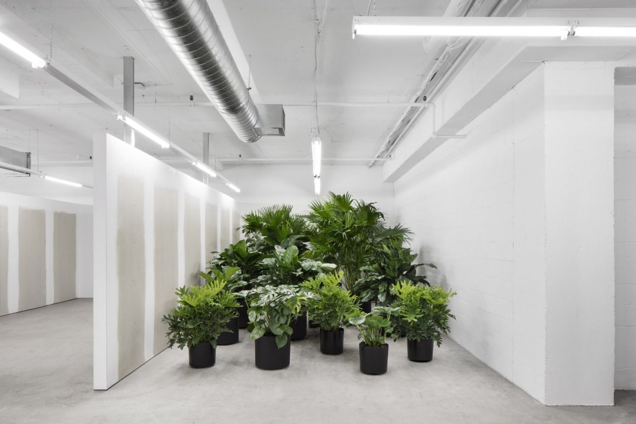 Archillect ID 384703