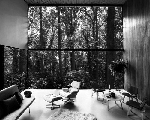 Archillect ID 384710