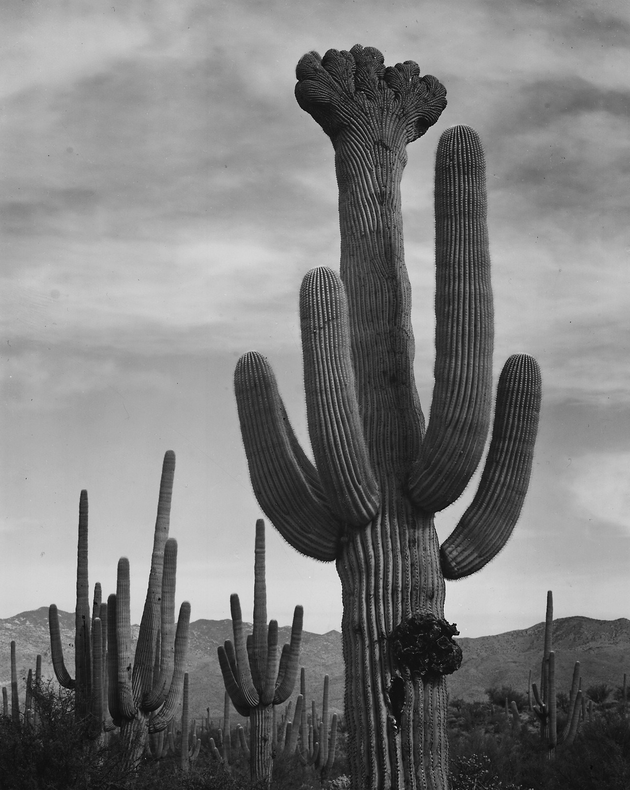 Archillect ID 384721