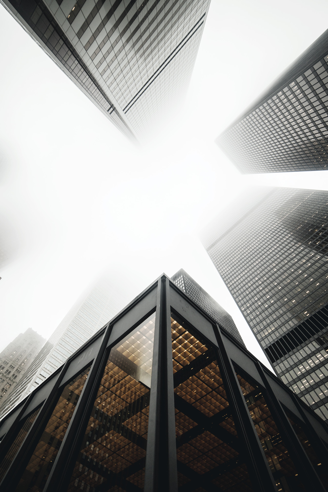 Archillect ID 384722