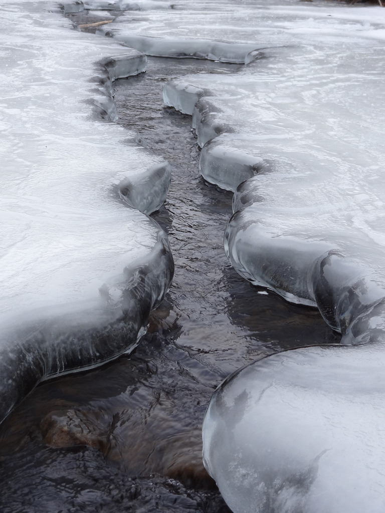 Archillect ID 384755