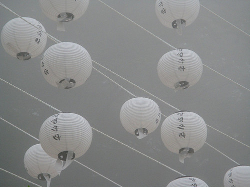 Archillect ID 384764