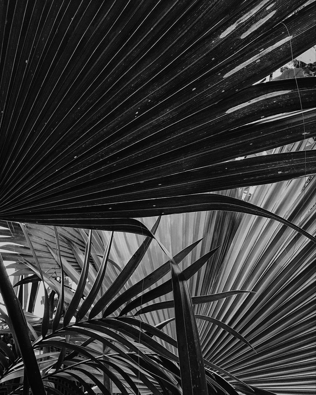 Archillect ID 384771