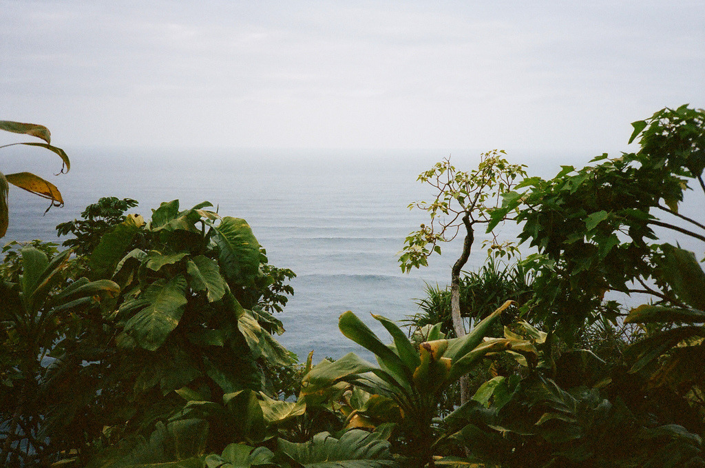 Archillect ID 384798