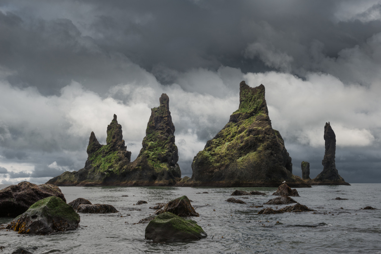 Archillect ID 384809