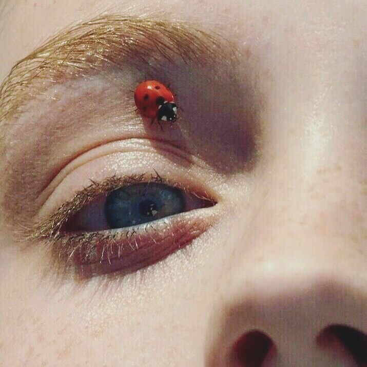 Archillect ID 384839