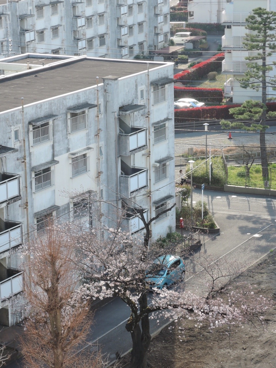 Archillect ID 384865