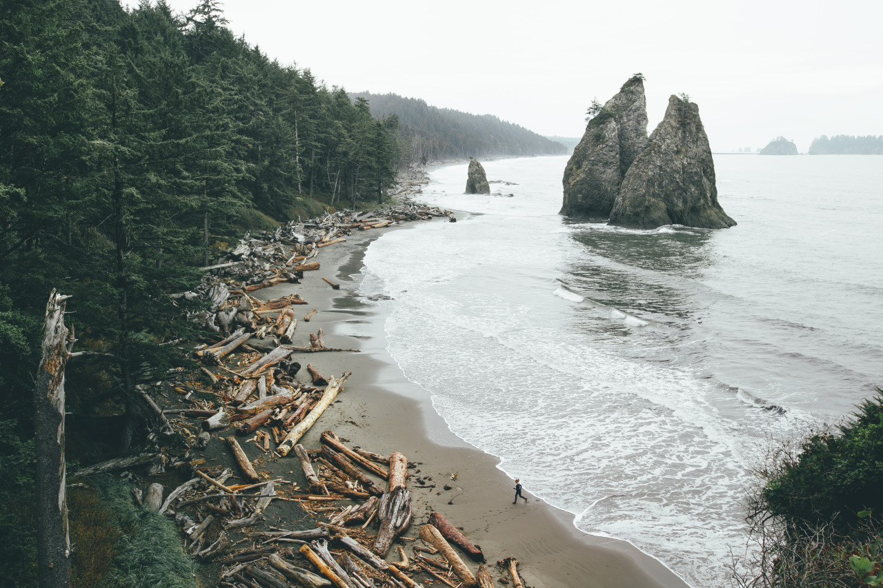 Archillect ID 384889