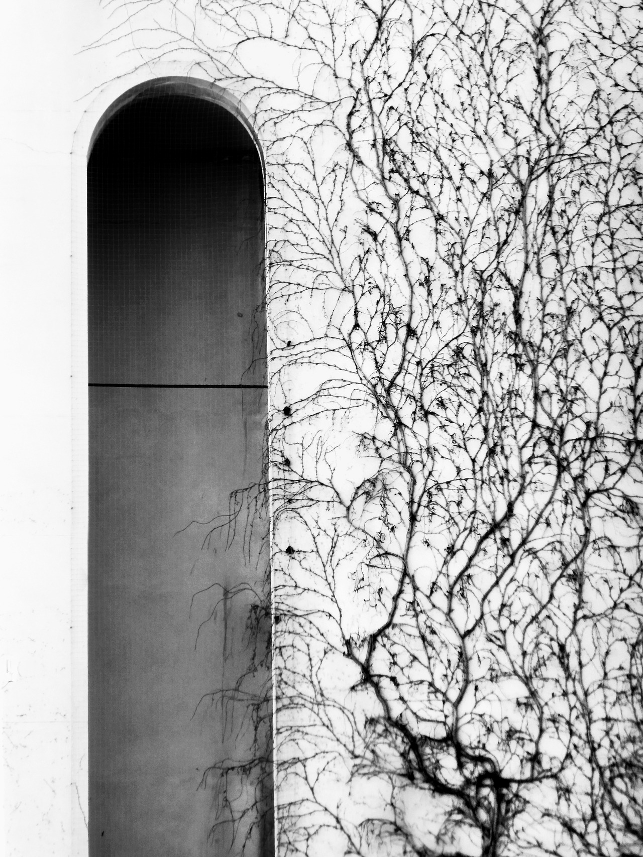 Archillect ID 384890