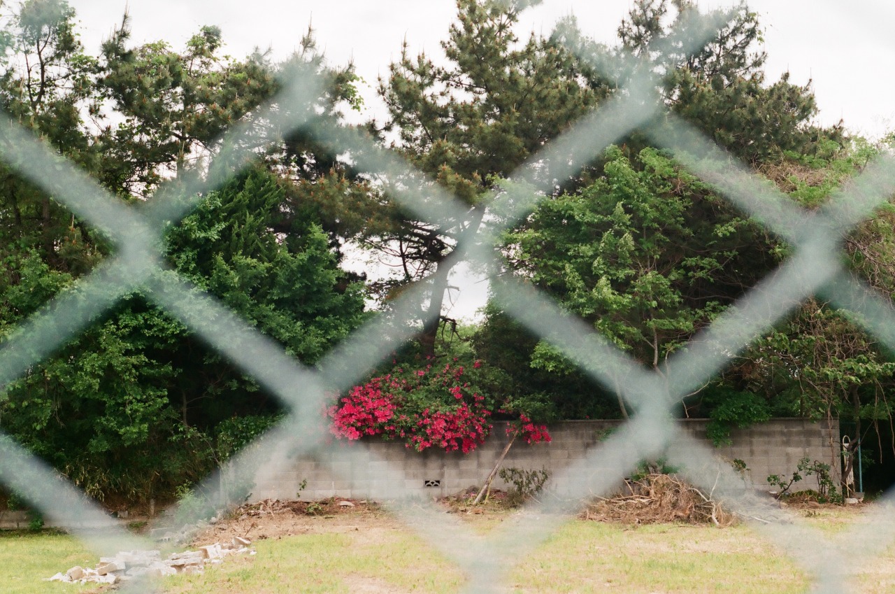 Archillect ID 384924