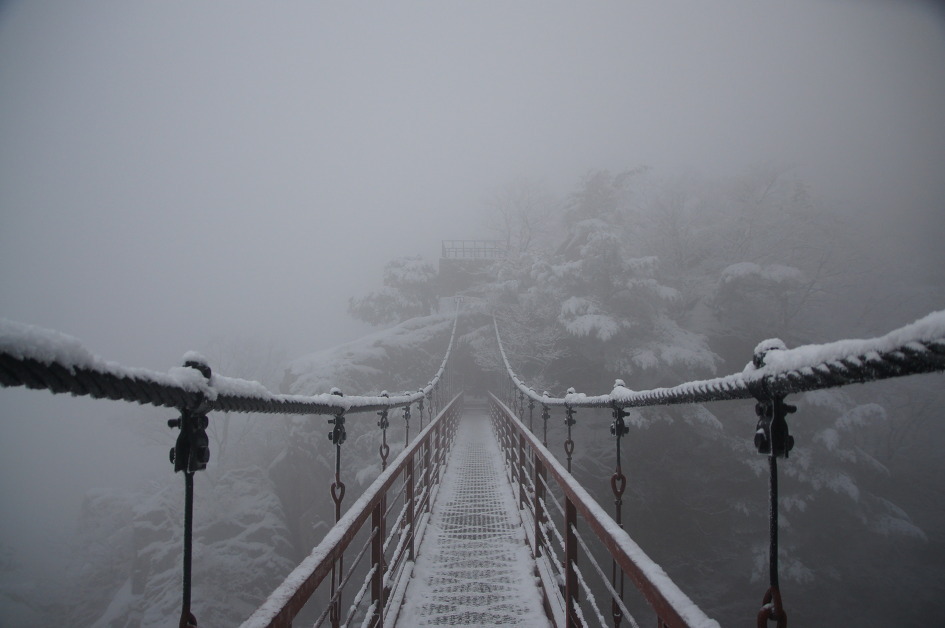 Archillect ID 384947