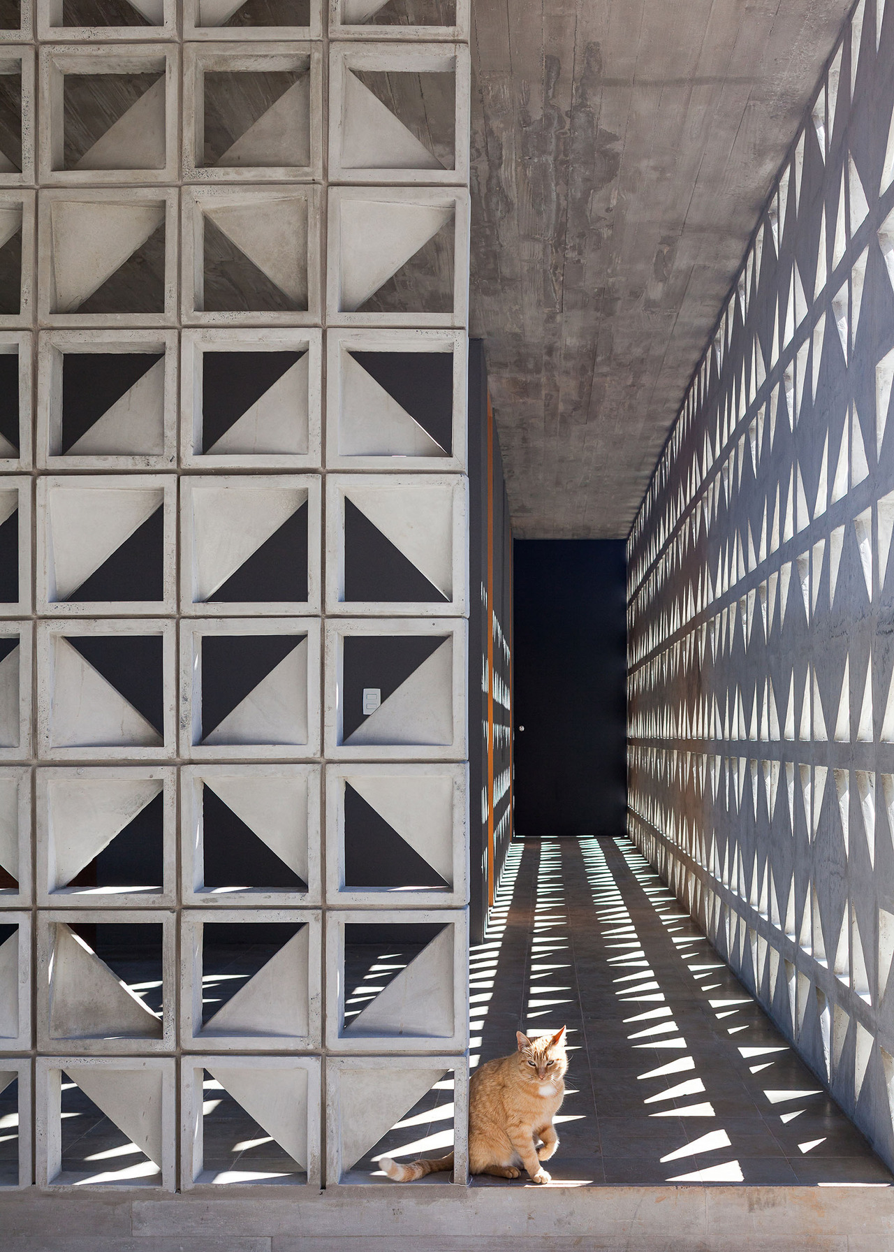 Archillect ID 384964