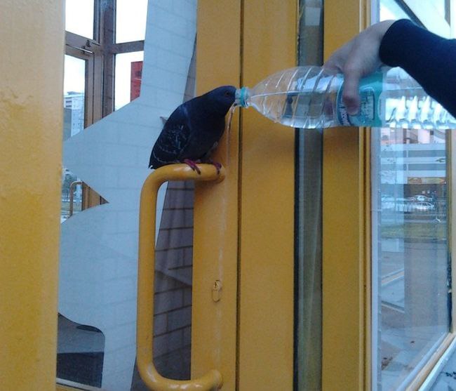 Archillect ID 384977