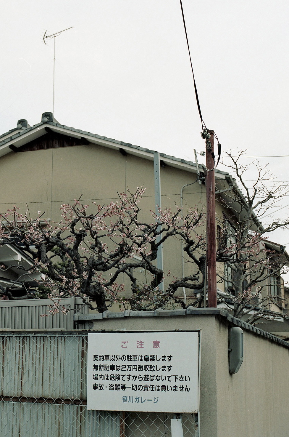 Archillect ID 385065