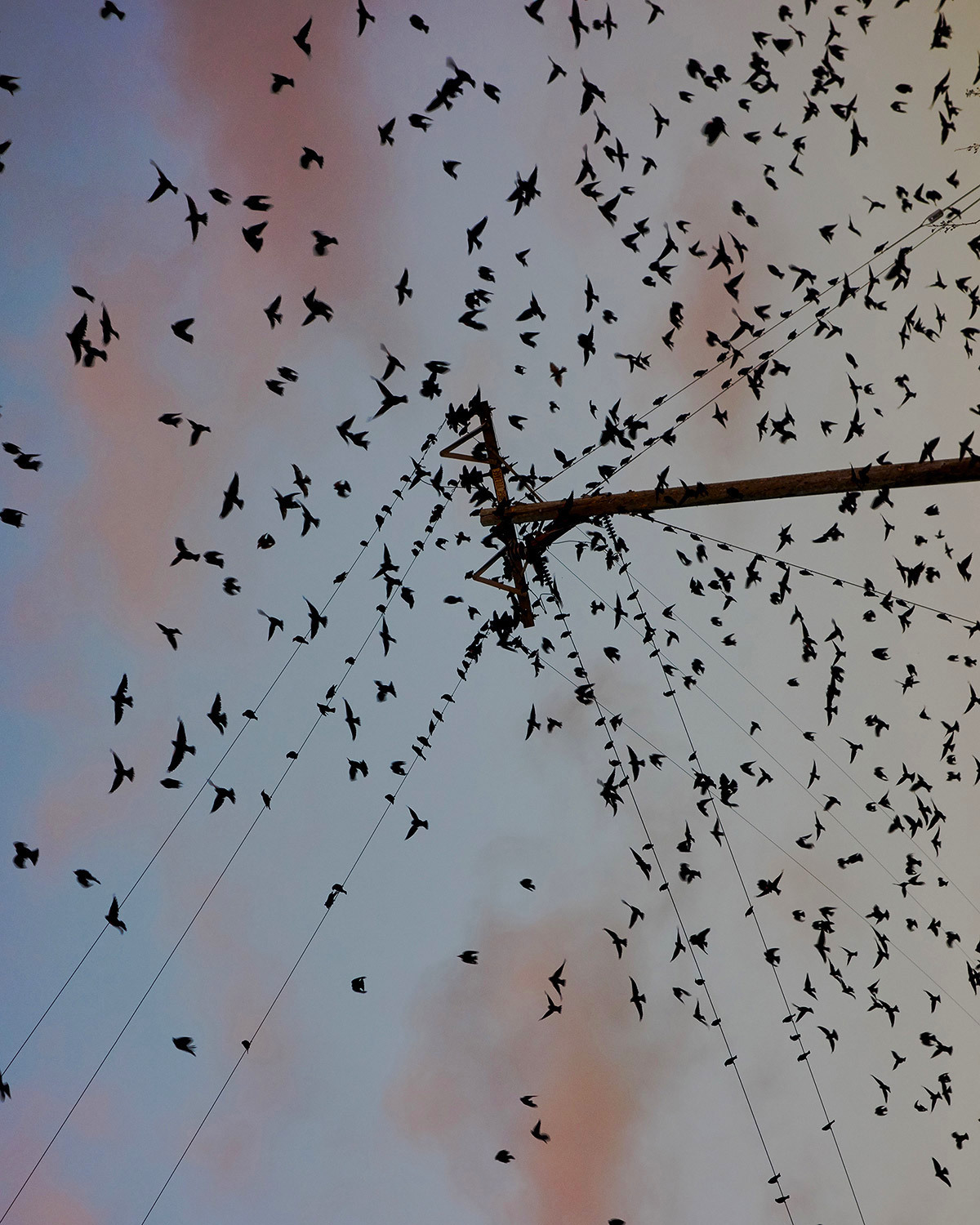 Archillect ID 385112