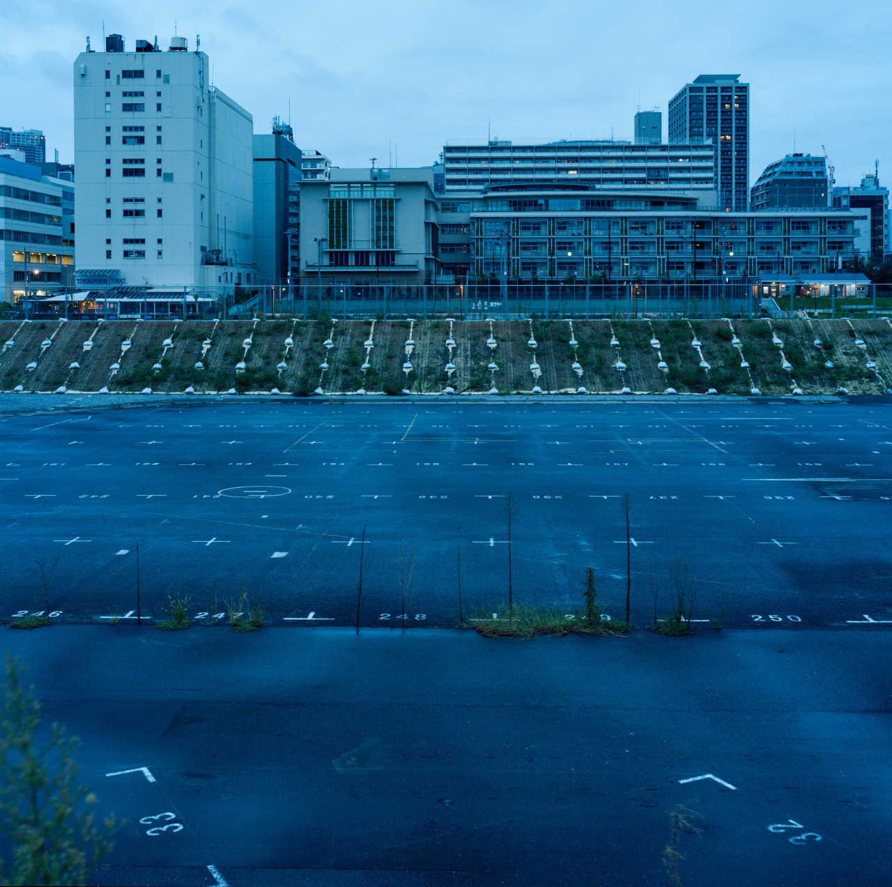 Archillect ID 385147