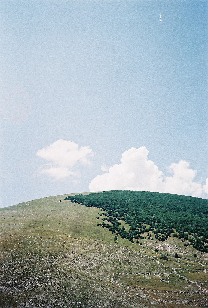 Archillect ID 385183