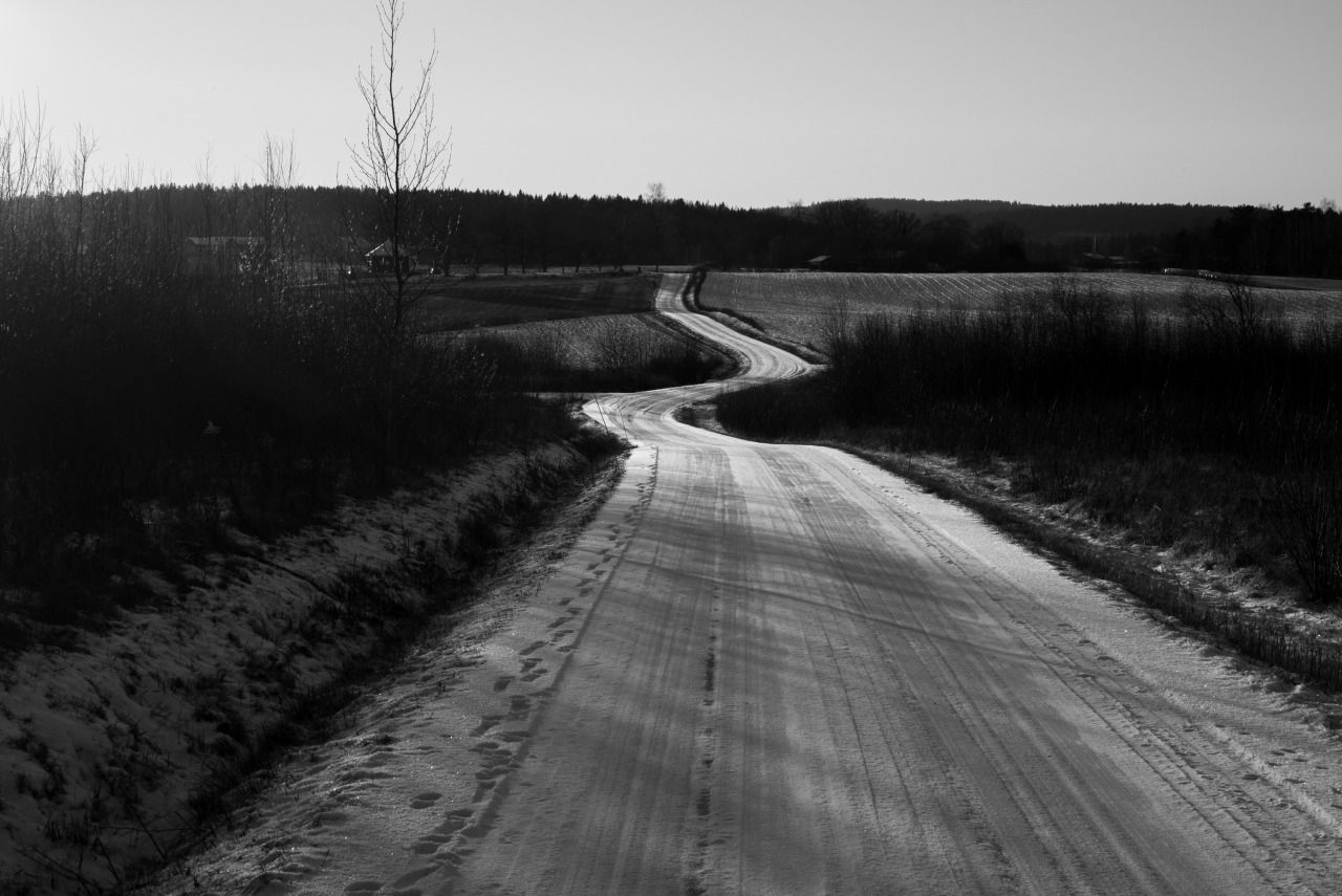 Archillect ID 385185