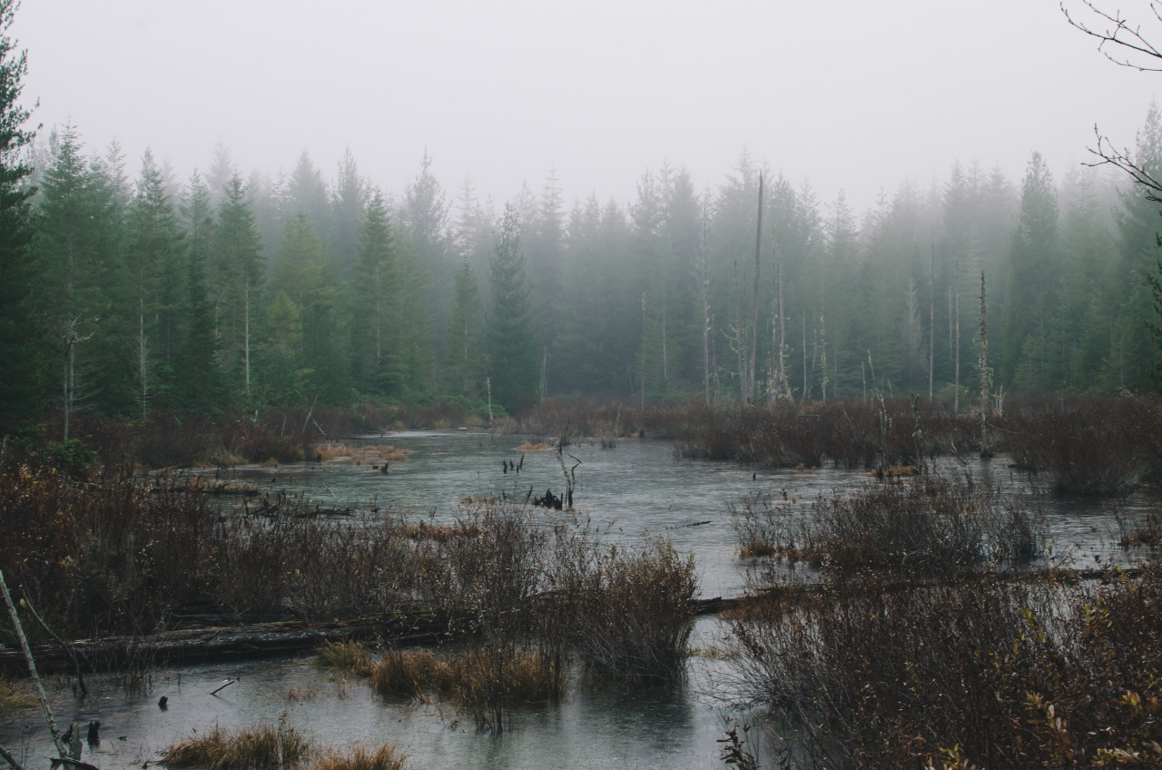 Archillect ID 385230